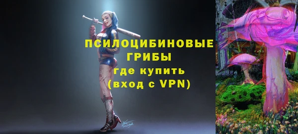 стафф Медногорск