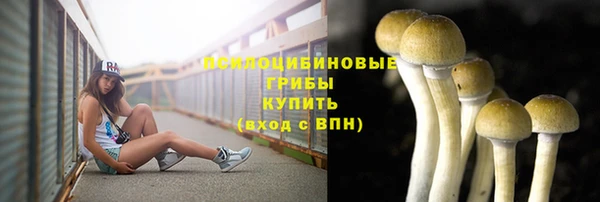 гидра Мегион
