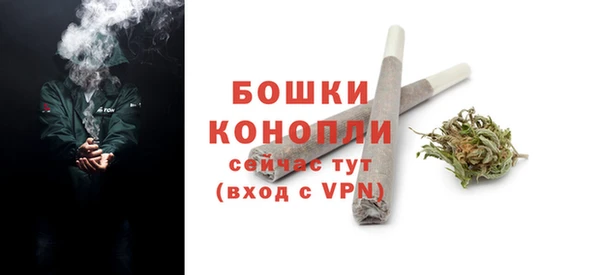 гидра Мегион