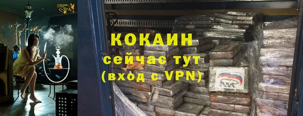дживик Белокуриха
