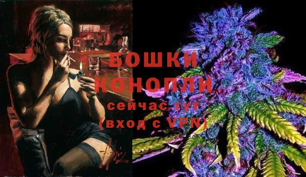 молекула духа Ельня